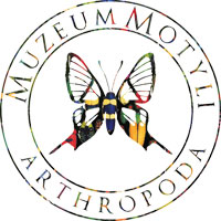 Muzeum-Motyli